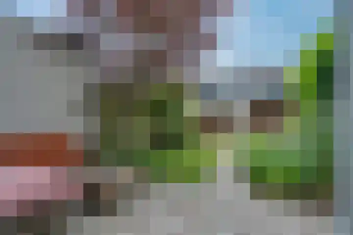 Calsstraat 22 Zwolle thumbnail 24