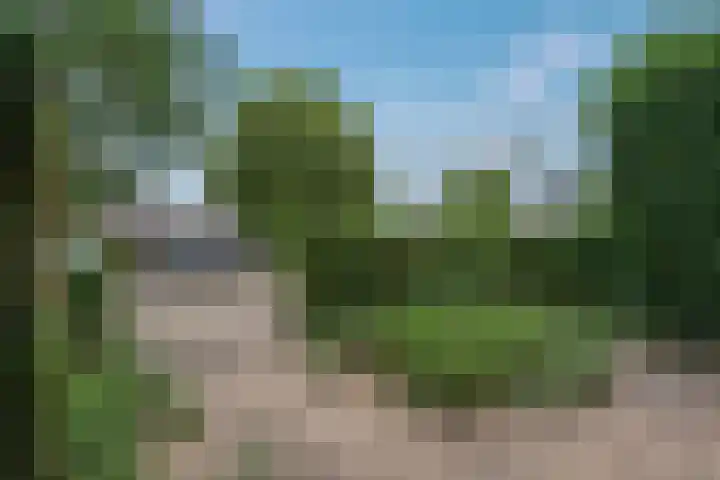 Calsstraat 22 Zwolle thumbnail 6