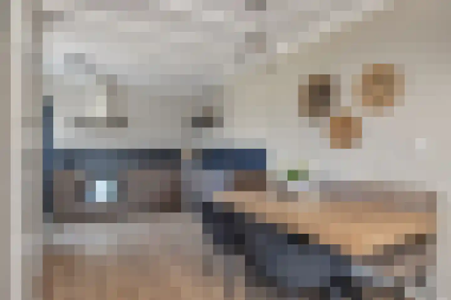 Calsstraat 26 Goes thumbnail 14