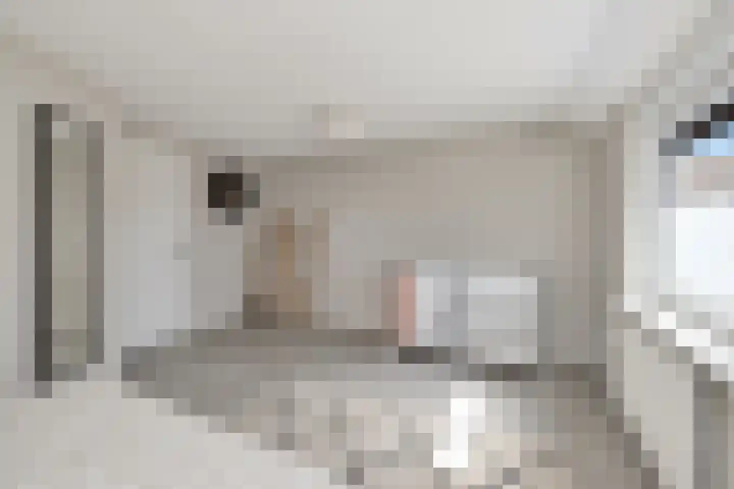 Calsstraat 26 Goes thumbnail 23
