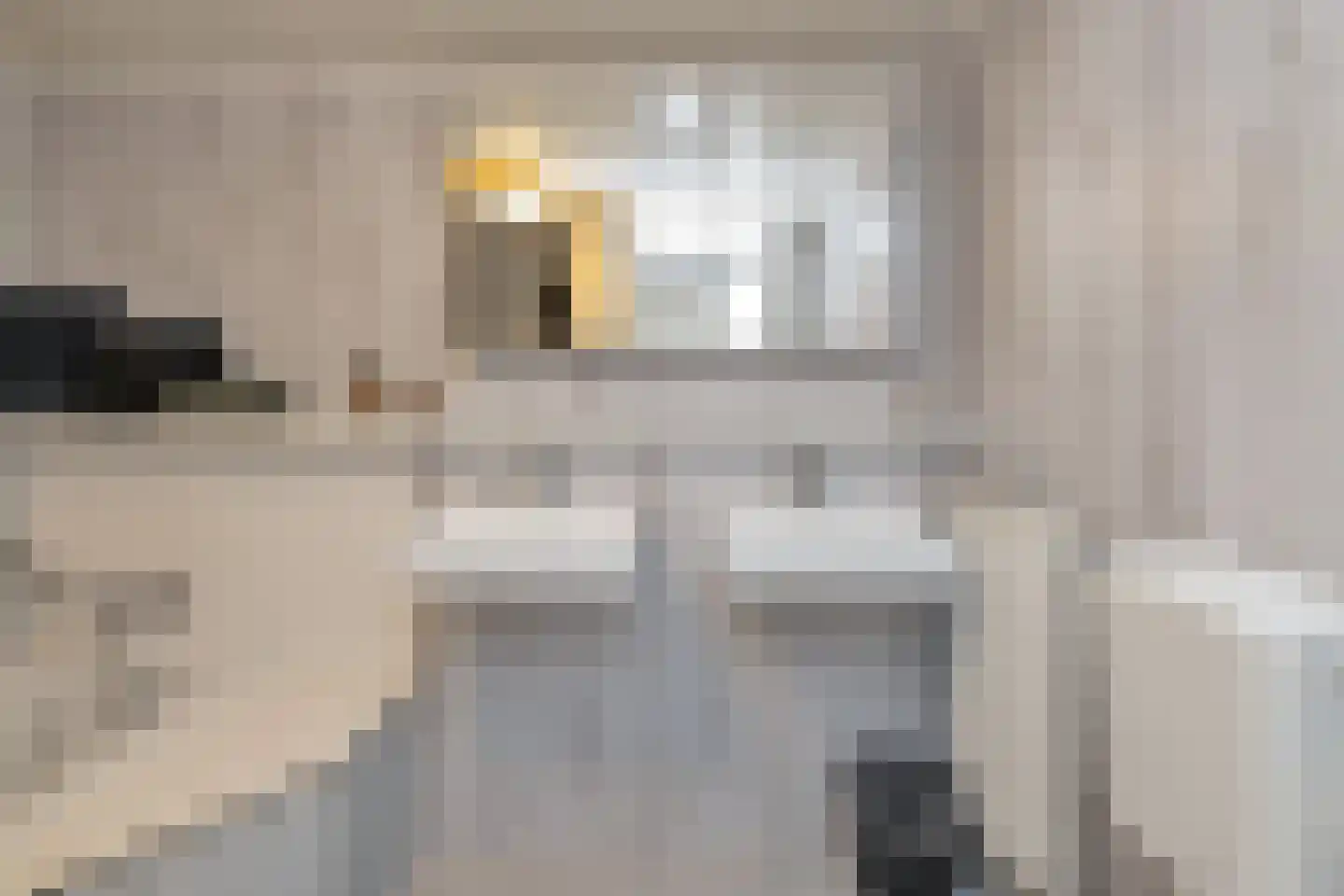 Calsstraat 26 Goes thumbnail 25