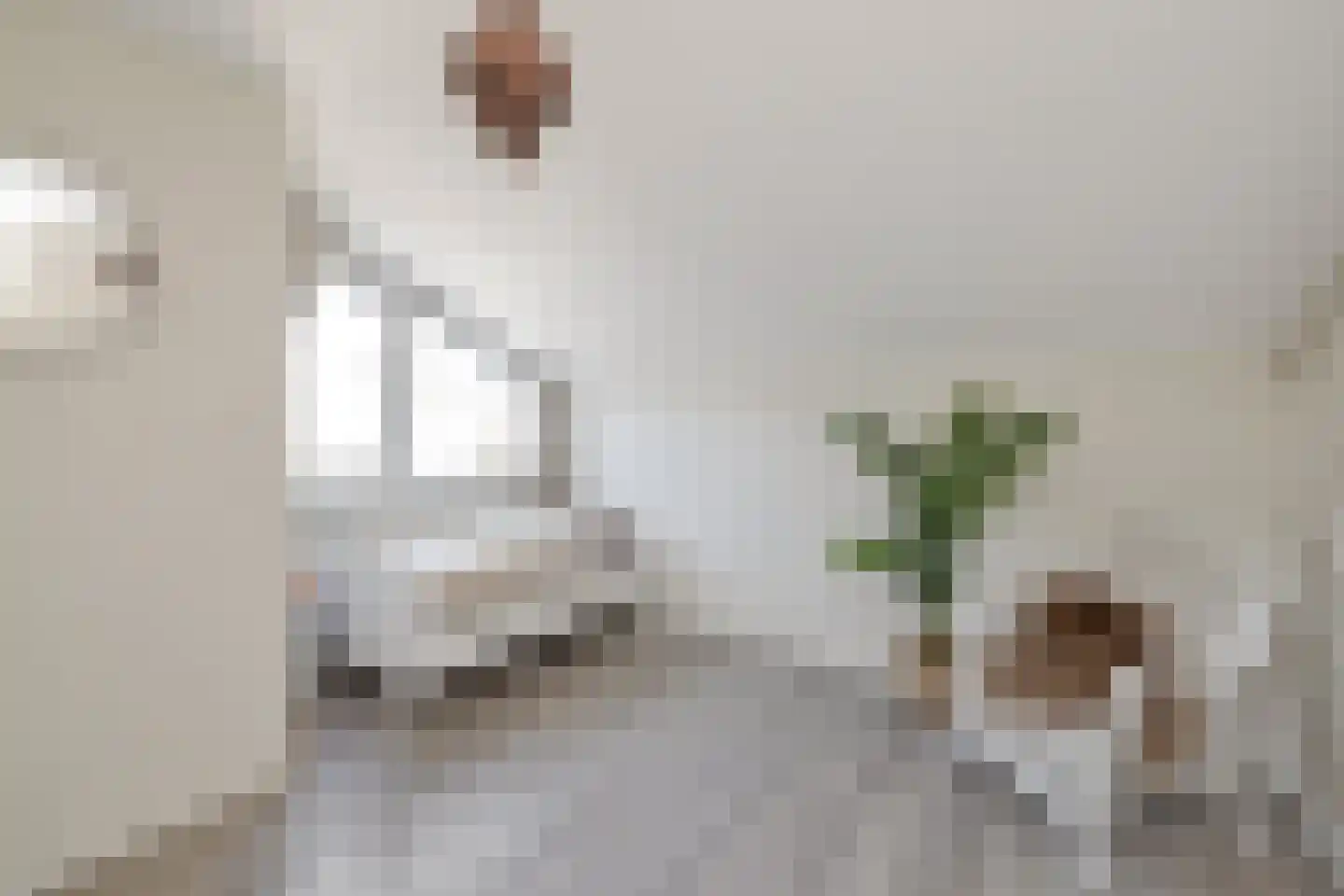 Calsstraat 26 Goes thumbnail 28
