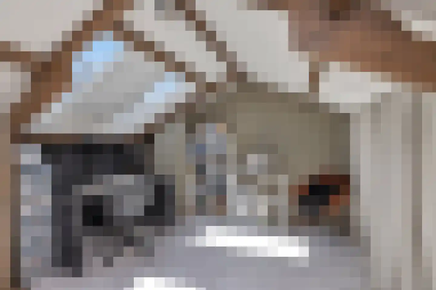 Calsstraat 26 Goes thumbnail 31
