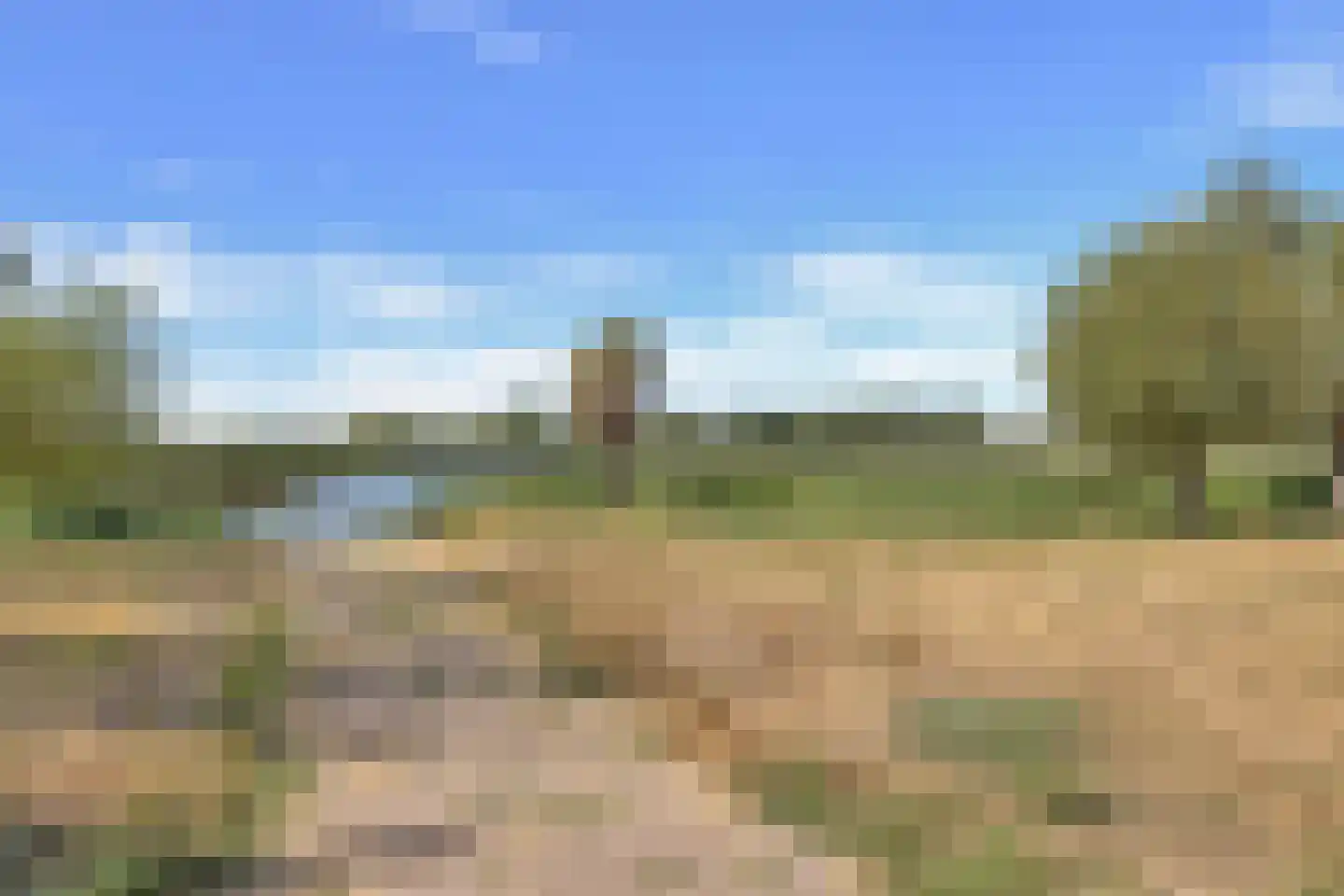 Calsstraat 26 Goes thumbnail 44