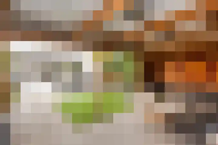 Calsstraat 34 Zwolle thumbnail 18