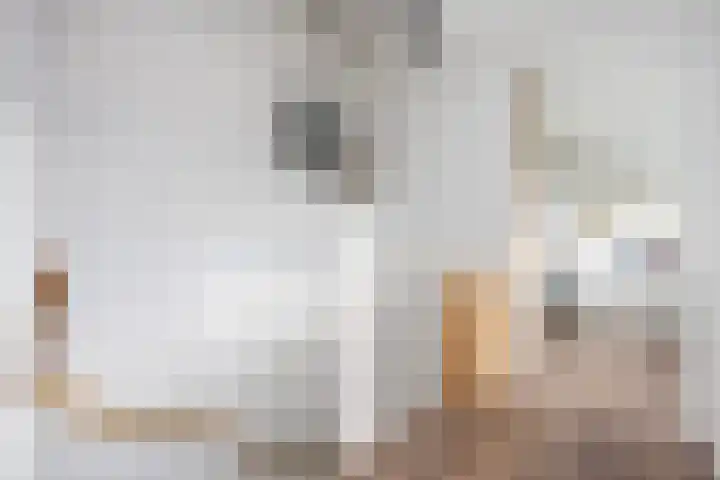 Calsstraat 34 Zwolle thumbnail 30