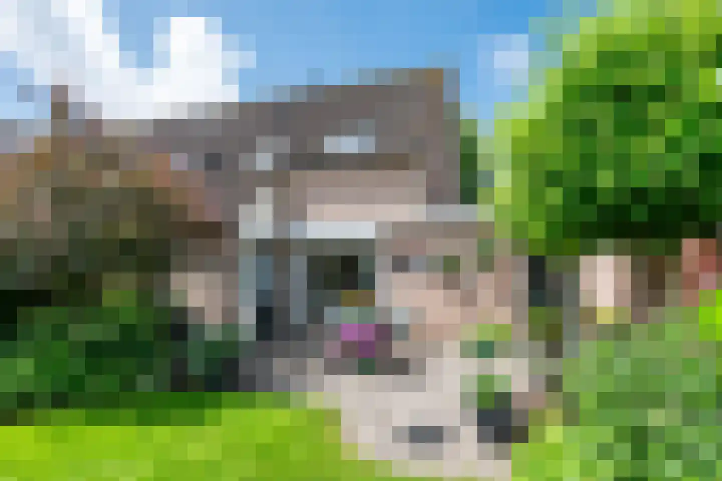 Calsstraat 35 Helmond thumbnail 40