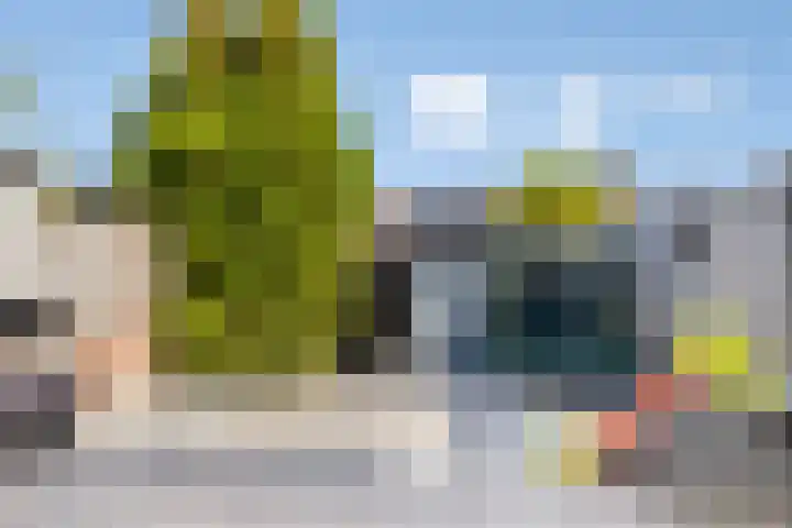 Calsstraat 5 Helmond thumbnail 33