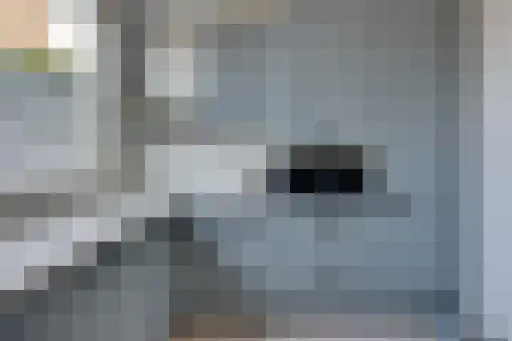 Calsstraat 54 Goes thumbnail 12