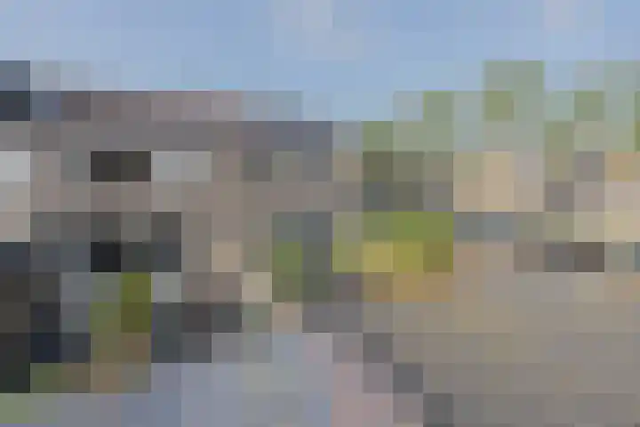 Calsstraat 54 Goes thumbnail 30