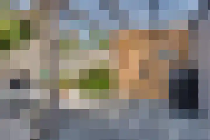 Calsstraat 54 Goes thumbnail 31