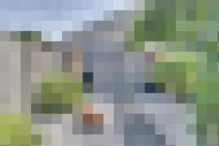 Calsstraat 54 Goes thumbnail 33