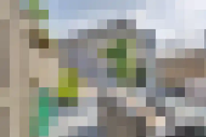 Calsstraat 54 Goes thumbnail 35