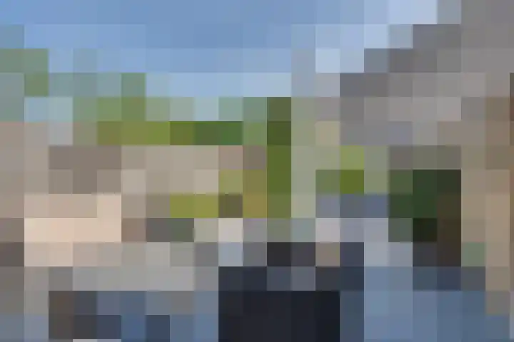 Calsstraat 54 Goes thumbnail 36