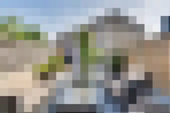 Calsstraat 54 Goes thumbnail 37