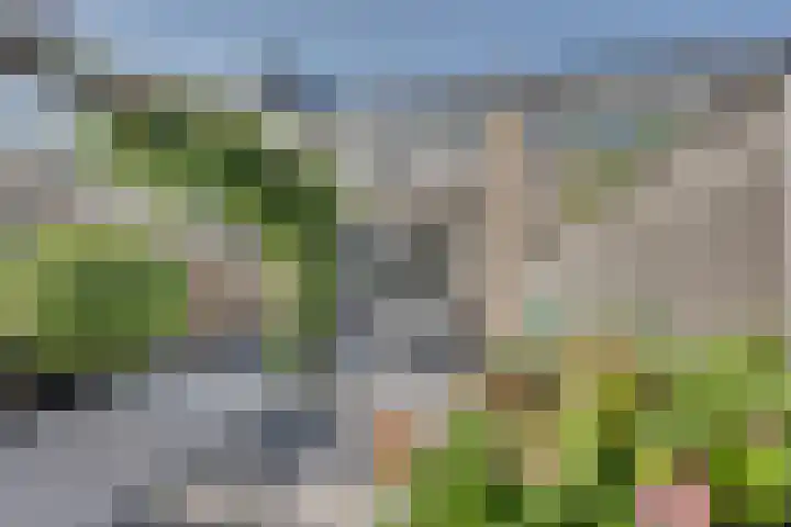 Calsstraat 54 Goes thumbnail 39