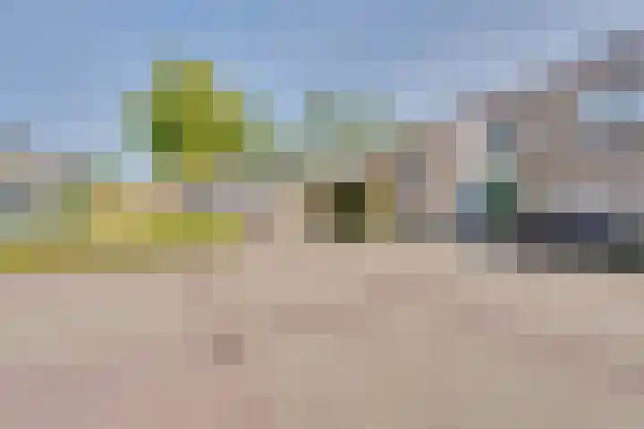 Calsstraat 54 Goes thumbnail 4