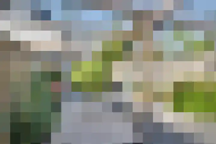 Calsstraat 54 Goes thumbnail 40