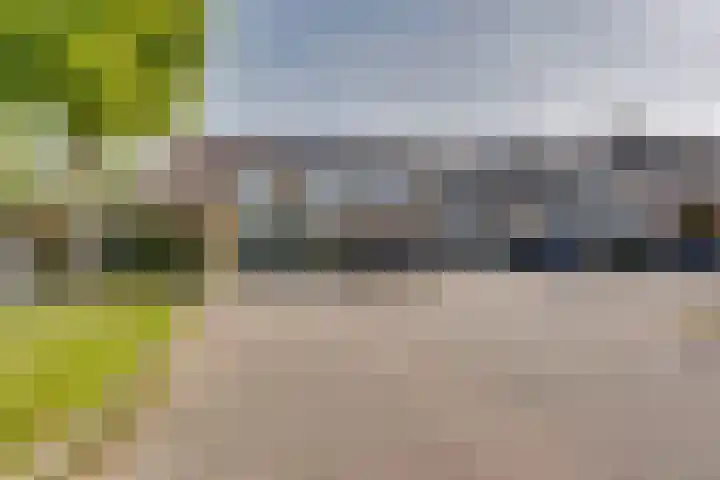Calsstraat 54 Goes thumbnail 5