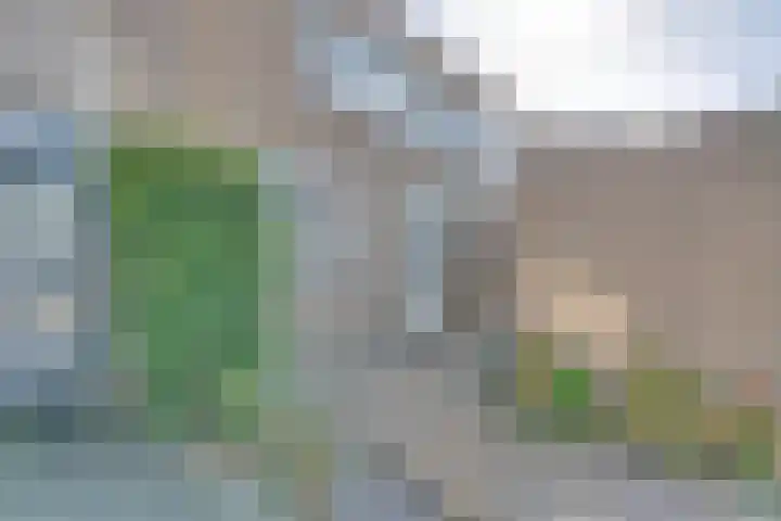 Calsstraat 54 Goes thumbnail 8