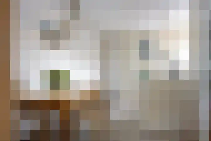 Calsstraat 58 Goes thumbnail 16
