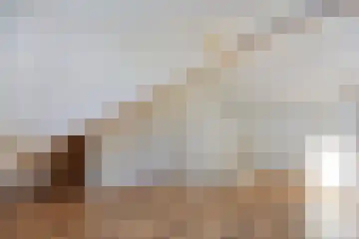 Calsstraat 58 Goes thumbnail 33