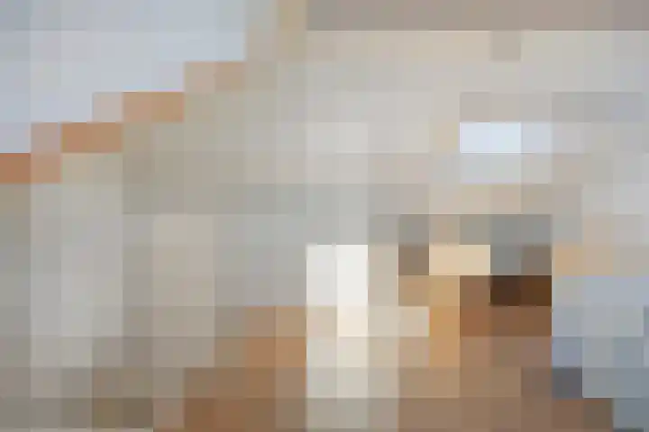 Calsstraat 58 Goes thumbnail 34