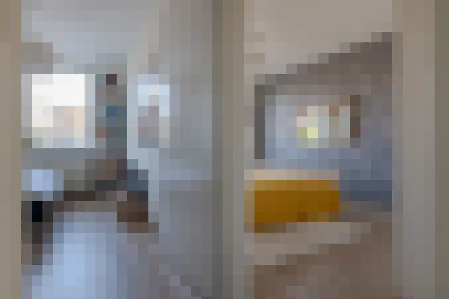 Calsstraat 58 Zwolle thumbnail 34