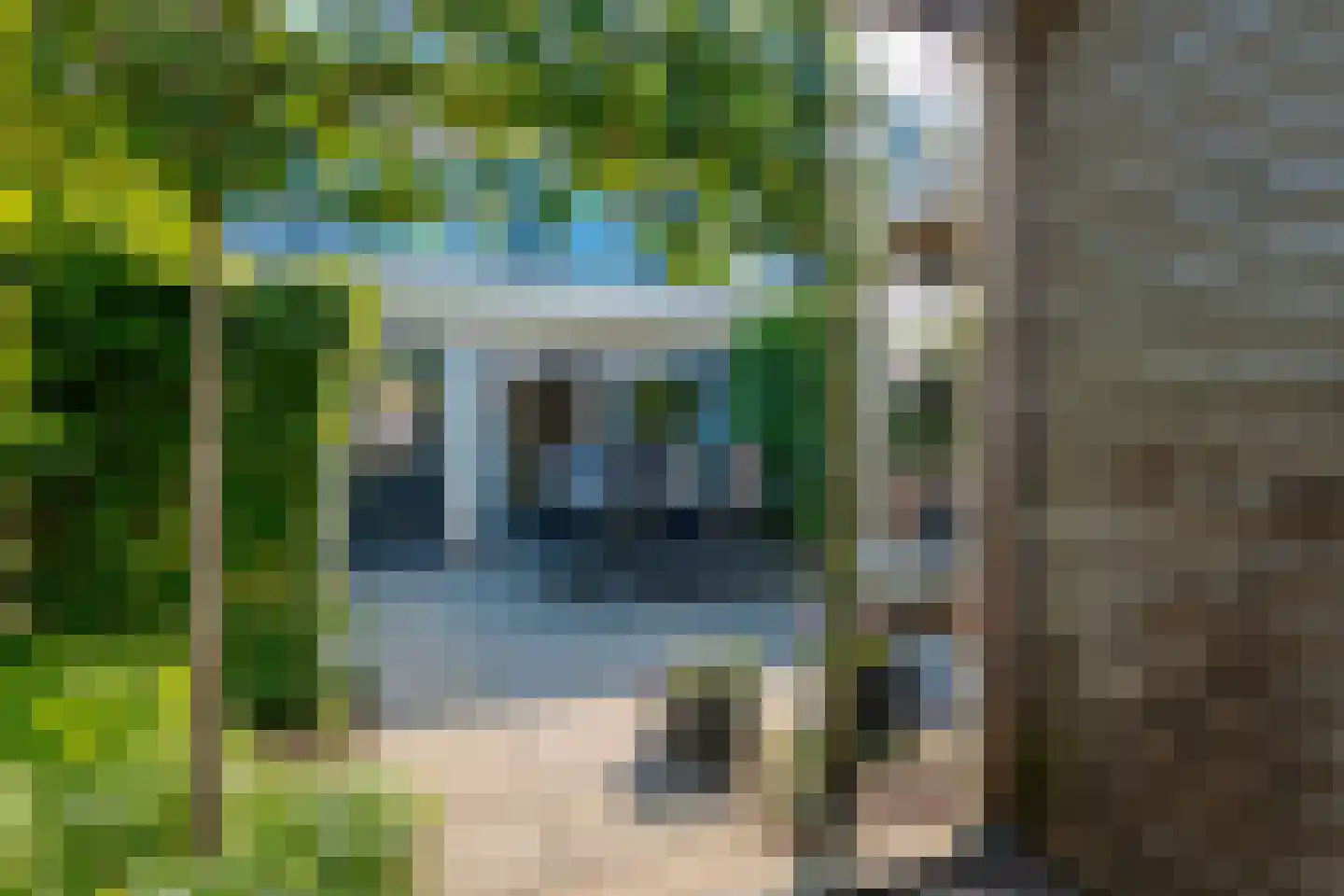 Calsstraat 58 Zwolle thumbnail 4