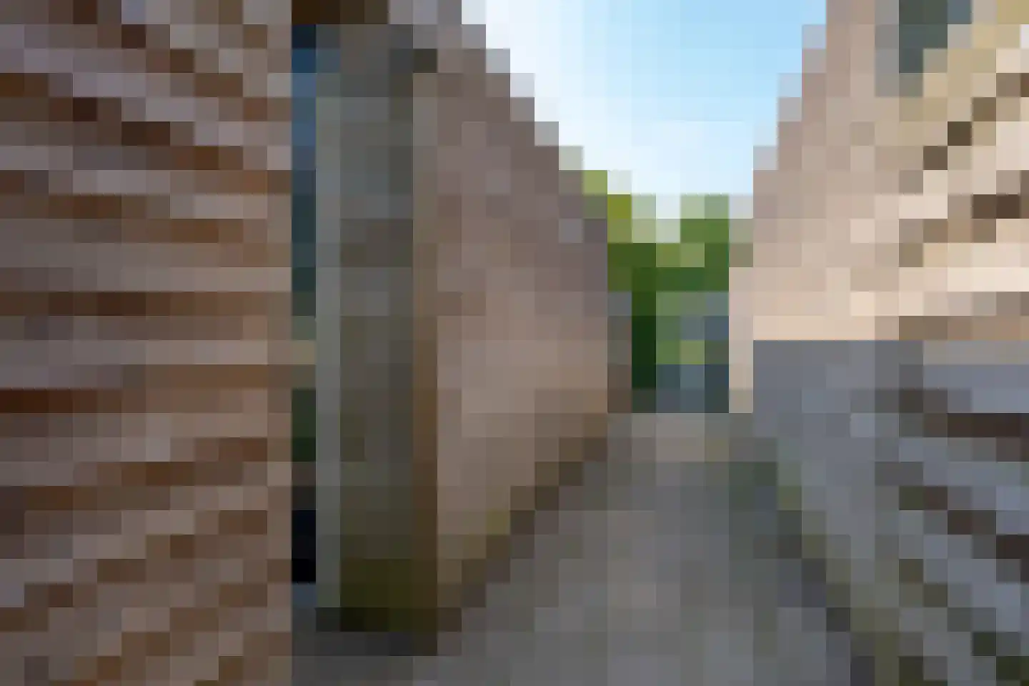 Calsstraat 58 Zwolle thumbnail 54
