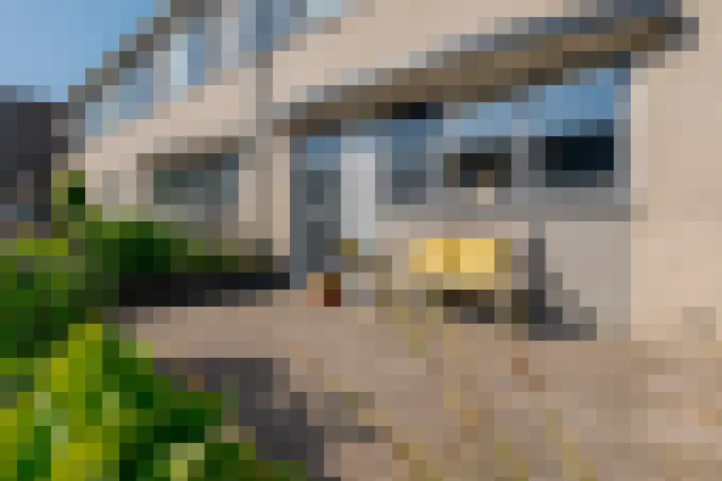Calsstraat 58 Zwolle thumbnail 7