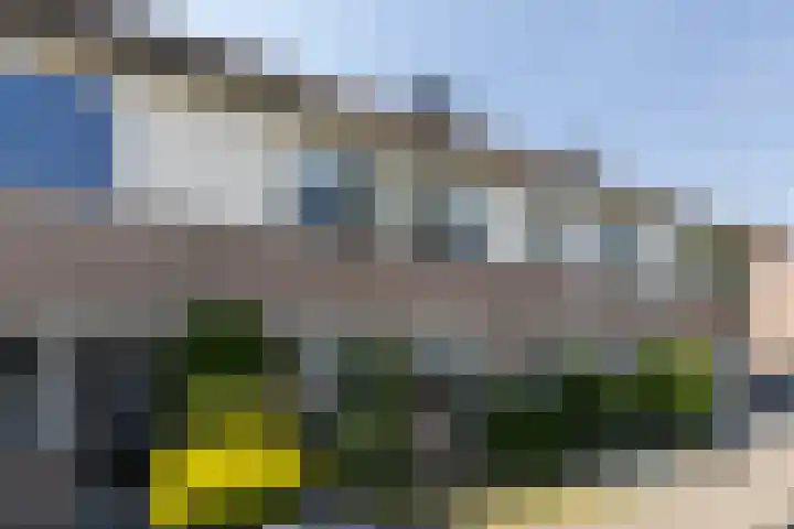 Calsstraat 72 Helmond thumbnail 10