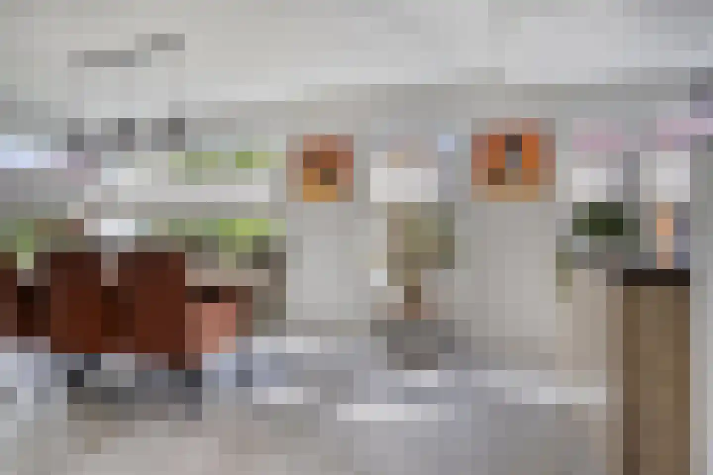 Calsstraat 9 Zetten thumbnail 10