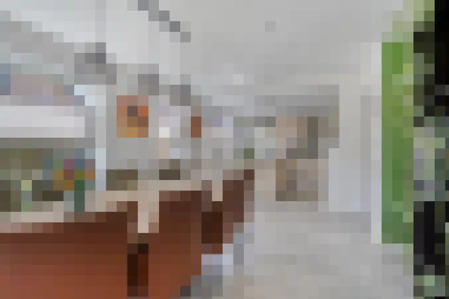 Calsstraat 9 Zetten thumbnail 15