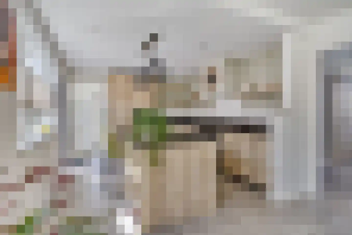 Calsstraat 9 Zetten thumbnail 17