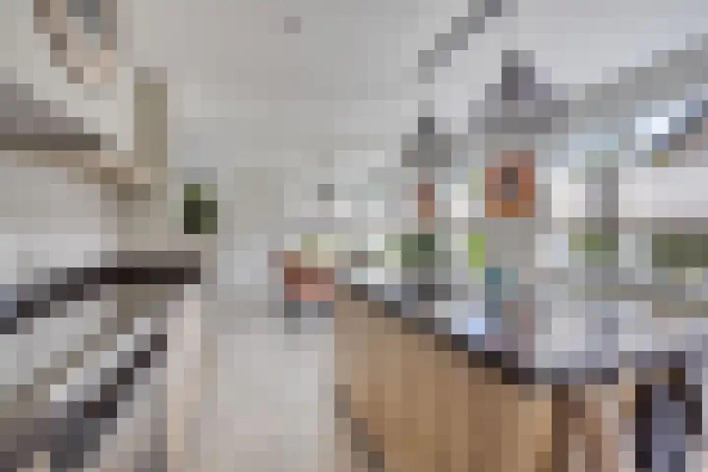 Calsstraat 9 Zetten thumbnail 20