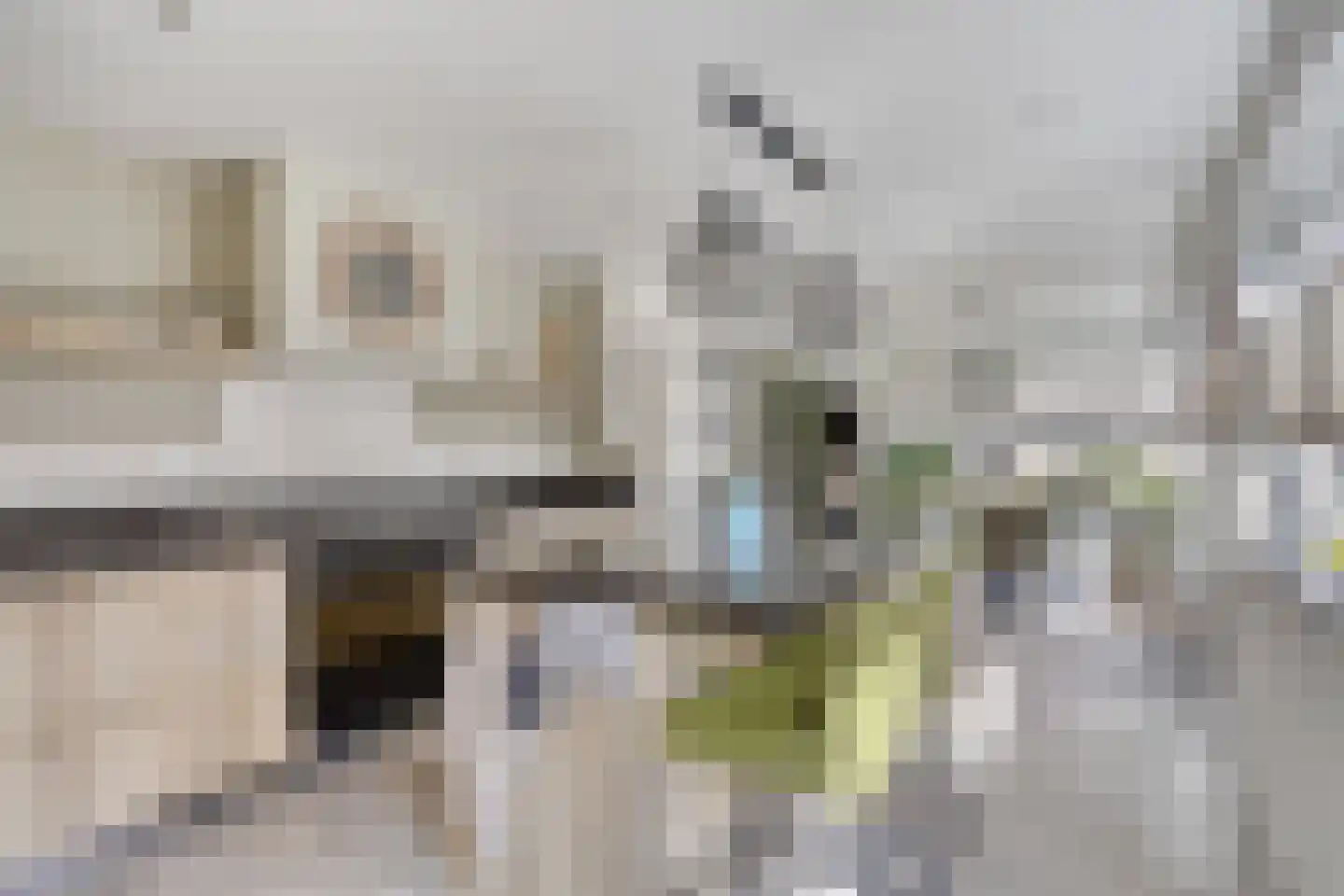 Calsstraat 9 Zetten thumbnail 21