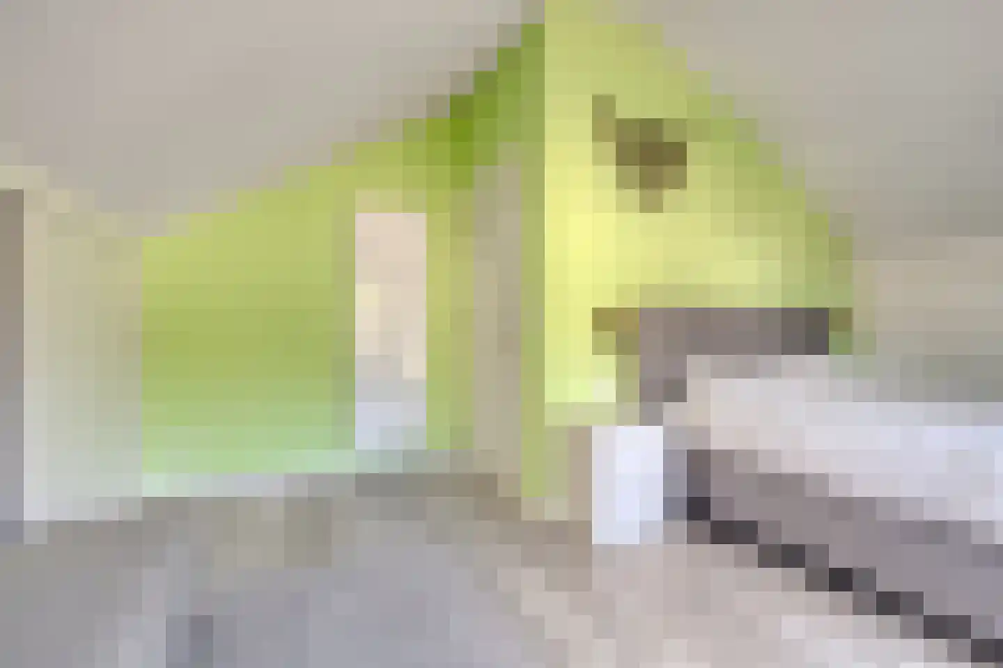 Calsstraat 9 Zetten thumbnail 38