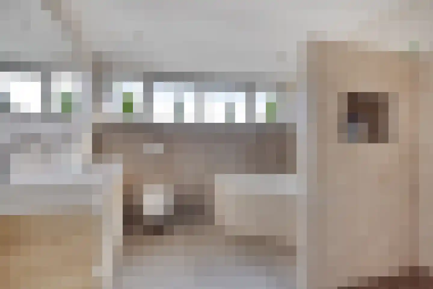 Calsstraat 9 Zetten thumbnail 39