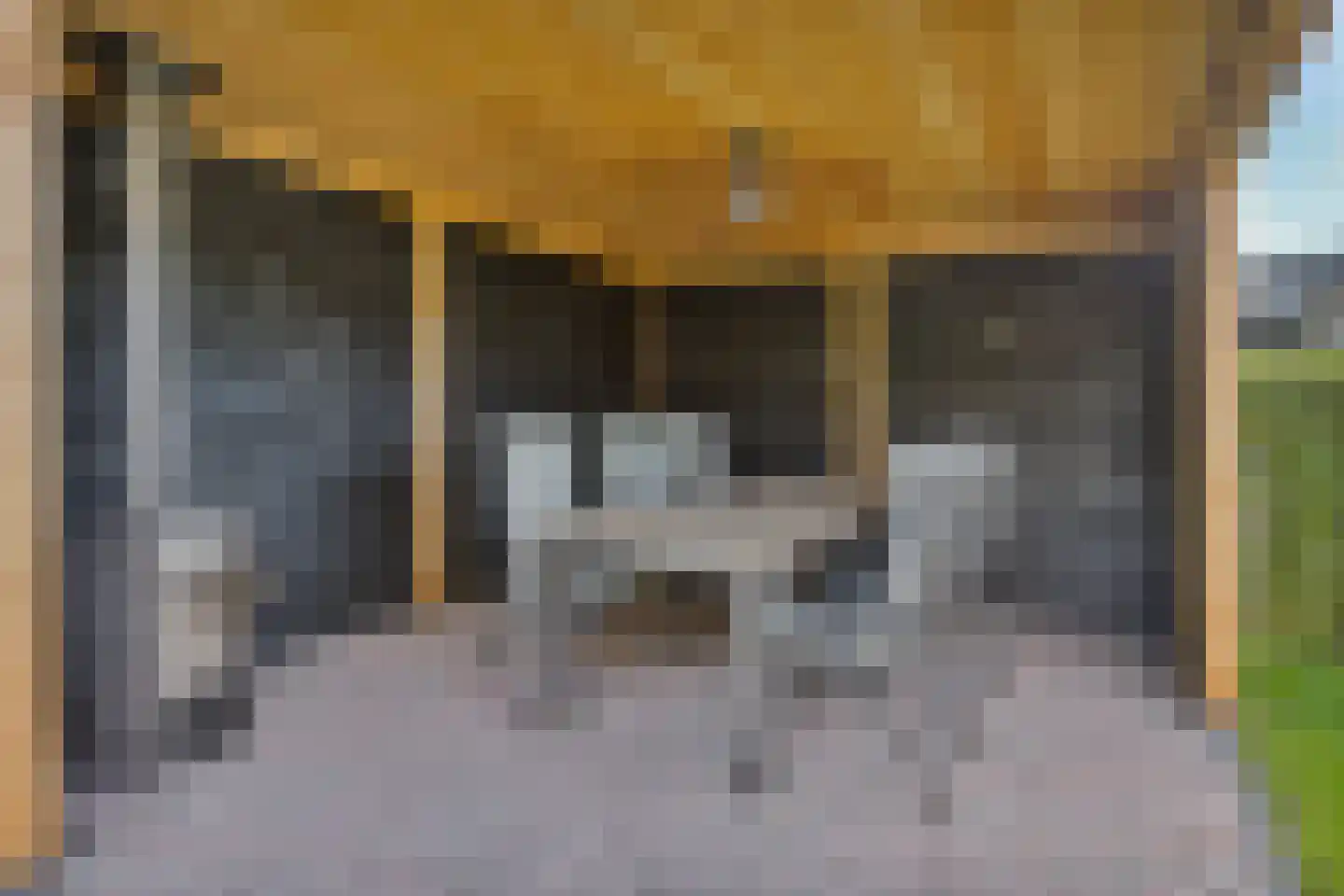 Calsstraat 9 Zetten thumbnail 4