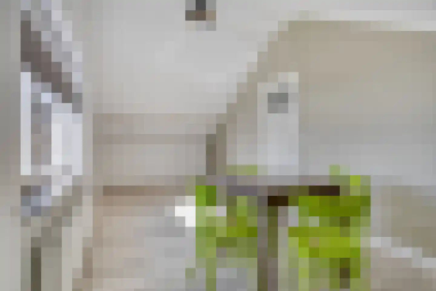 Calsstraat 9 Zetten thumbnail 44