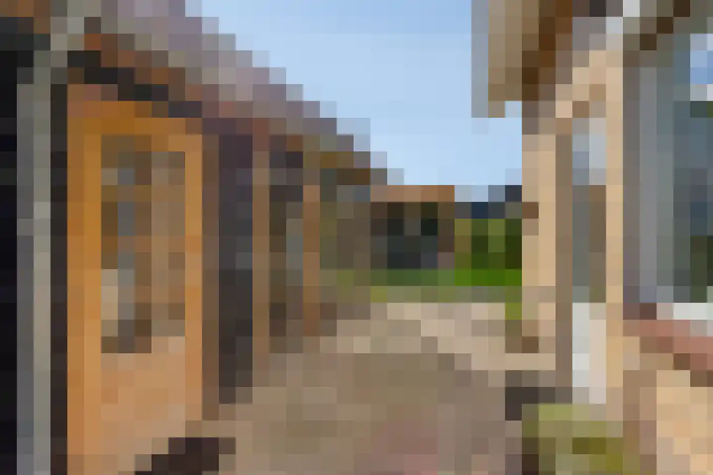 Calsstraat 9 Zetten thumbnail 51
