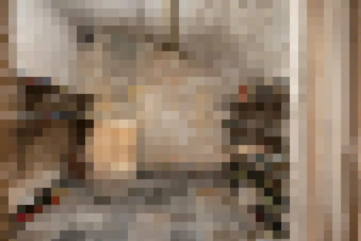 Calvariestraat 14 Maastricht thumbnail 44