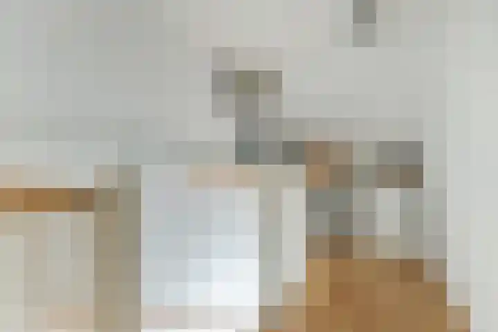 Calveslo 20 Kudelstaart thumbnail 28
