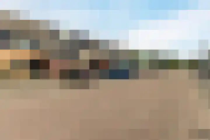 Calveslo 20 Kudelstaart thumbnail 31