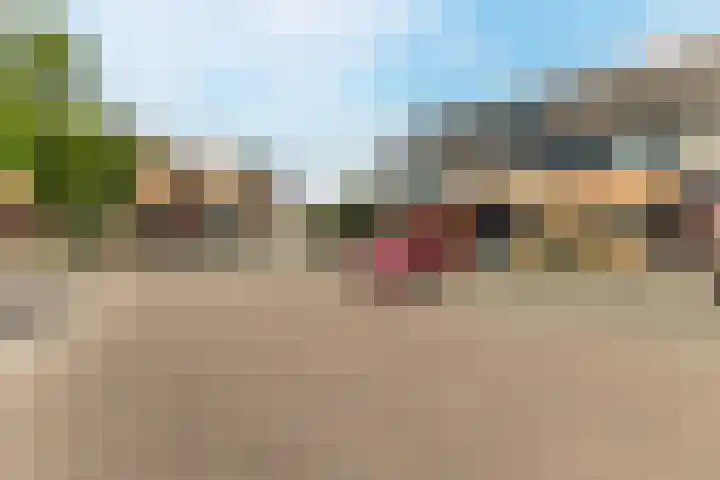 Calveslo 20 Kudelstaart thumbnail 33