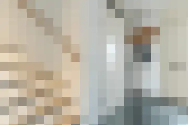 Calveslo 20 Kudelstaart thumbnail 35