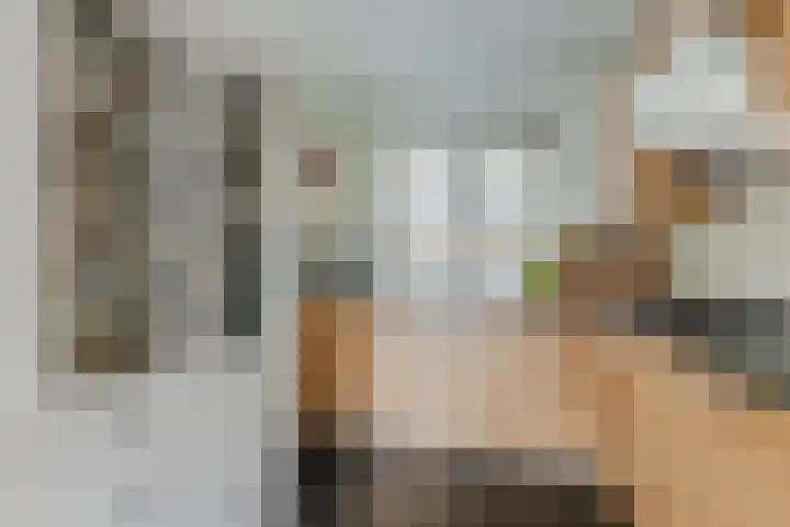 Calveslo 20 Kudelstaart thumbnail 37