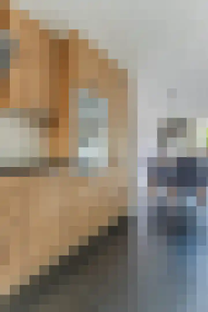 Calveslo 20 Kudelstaart thumbnail 39