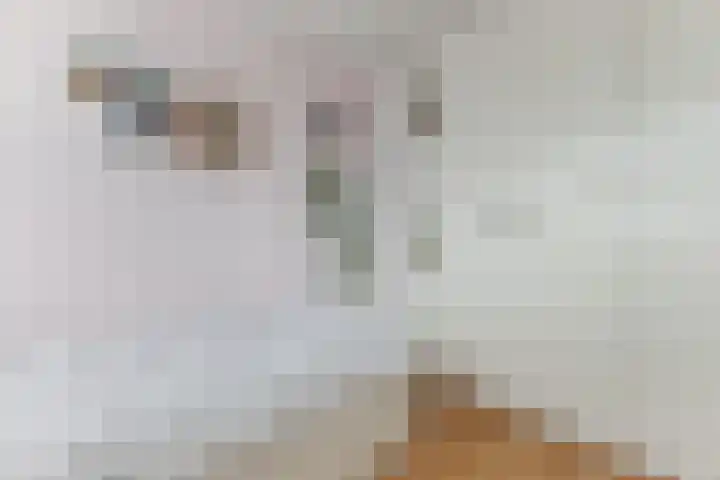 Calveslo 20 Kudelstaart thumbnail 44